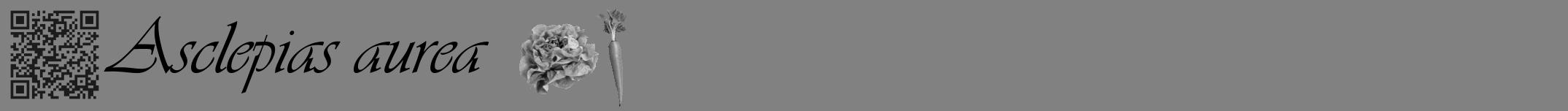 Étiquette de : Asclepias aurea - format a - style noire50viv avec qrcode et comestibilité simplifiée