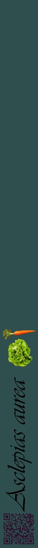 Étiquette de : Asclepias aurea - format a - style noire58viv avec qrcode et comestibilité simplifiée