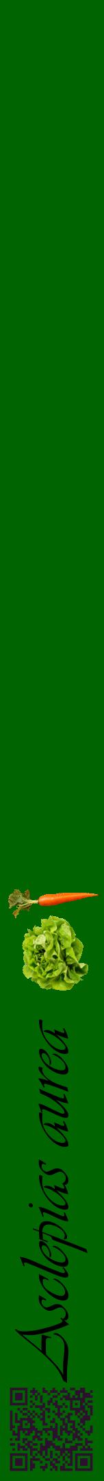 Étiquette de : Asclepias aurea - format a - style noire8viv avec qrcode et comestibilité simplifiée