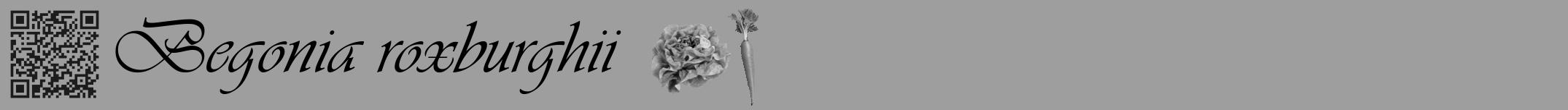 Étiquette de : Begonia roxburghii - format a - style noire23simpleviv avec qrcode et comestibilité simplifiée
