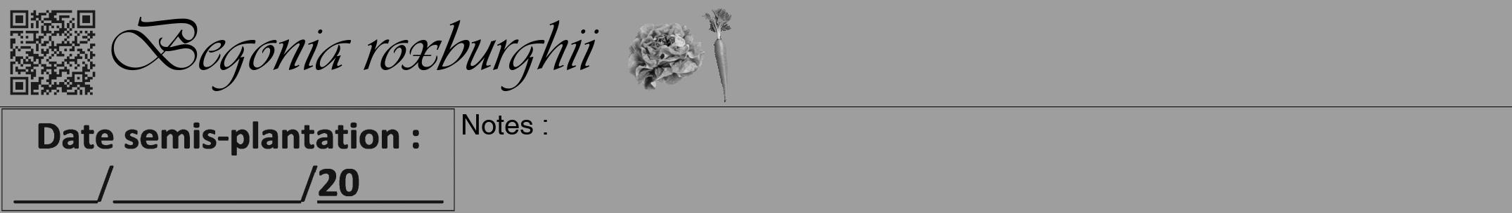 Étiquette de : Begonia roxburghii - format a - style noire23simpleviv avec qrcode et comestibilité simplifiée