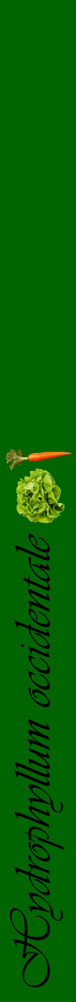 Étiquette de : Hydrophyllum occidentale - format a - style noire8viv avec comestibilité simplifiée