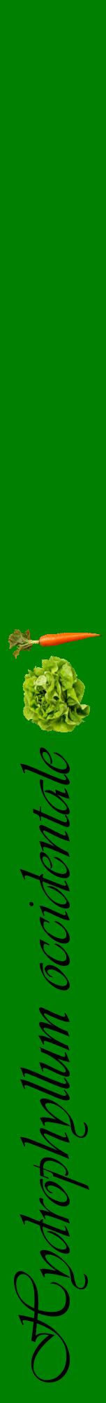Étiquette de : Hydrophyllum occidentale - format a - style noire9viv avec comestibilité simplifiée