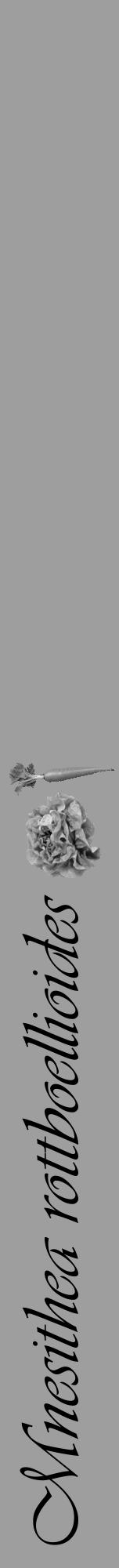 Étiquette de : Mnesithea rottboellioides - format a - style noire42viv avec comestibilité simplifiée - position verticale