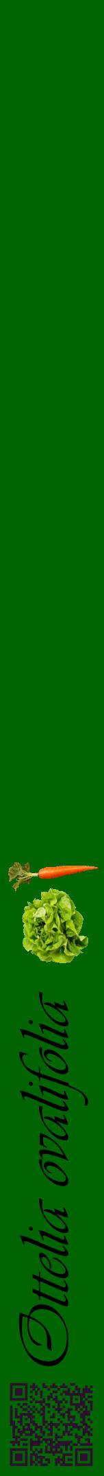 Étiquette de : Ottelia ovalifolia - format a - style noire8viv avec qrcode et comestibilité simplifiée