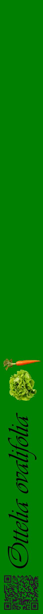 Étiquette de : Ottelia ovalifolia - format a - style noire9viv avec qrcode et comestibilité simplifiée