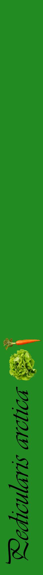 Étiquette de : Pedicularis arctica - format a - style noire10viv avec comestibilité simplifiée