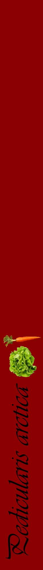 Étiquette de : Pedicularis arctica - format a - style noire34viv avec comestibilité simplifiée