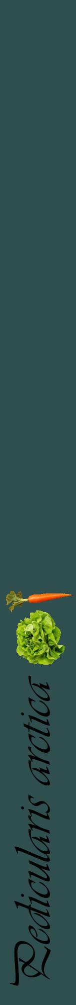Étiquette de : Pedicularis arctica - format a - style noire58viv avec comestibilité simplifiée