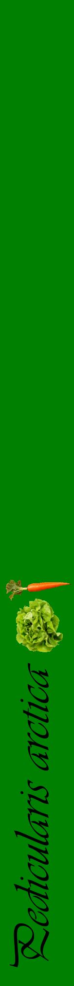 Étiquette de : Pedicularis arctica - format a - style noire9viv avec comestibilité simplifiée