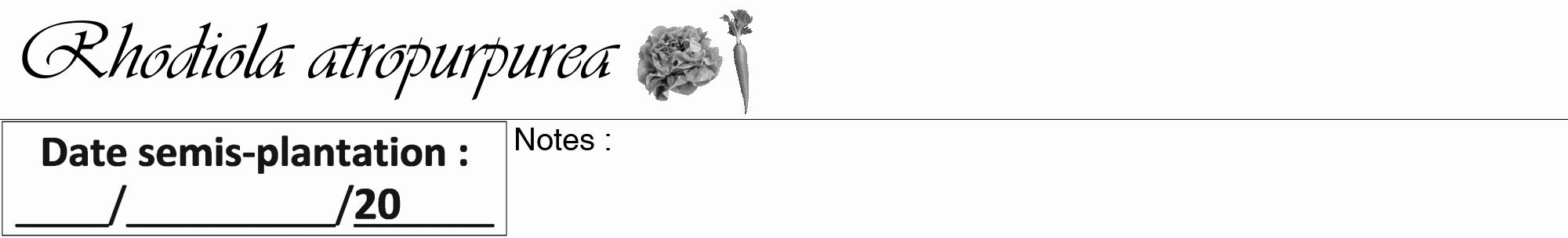 Étiquette de : Rhodiola atropurpurea - format a - style noire19viv avec comestibilité simplifiée
