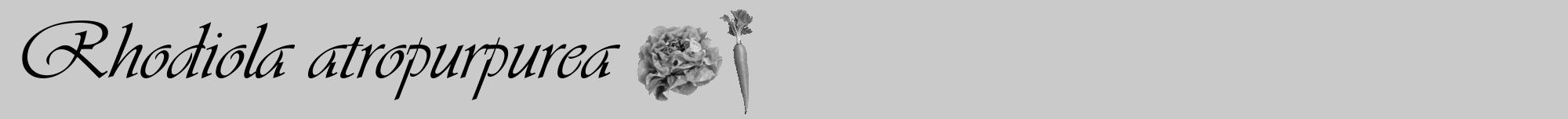 Étiquette de : Rhodiola atropurpurea - format a - style noire21viv avec comestibilité simplifiée