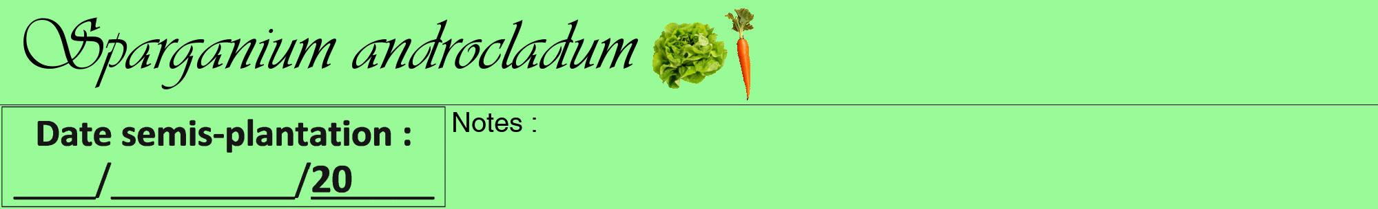 Étiquette de : Sparganium androcladum - format a - style noire14viv avec comestibilité simplifiée