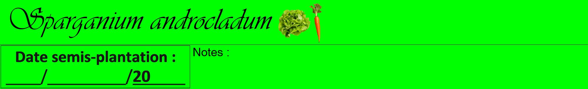 Étiquette de : Sparganium androcladum - format a - style noire16viv avec comestibilité simplifiée