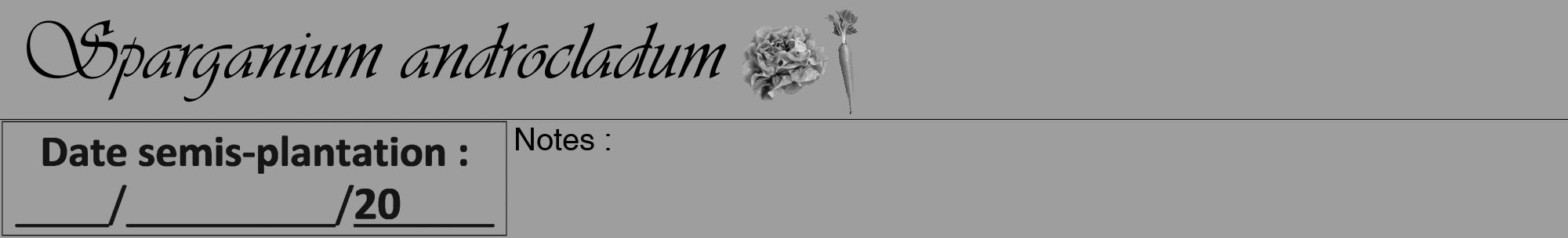 Étiquette de : Sparganium androcladum - format a - style noire23viv avec comestibilité simplifiée