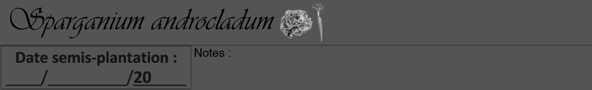 Étiquette de : Sparganium androcladum - format a - style noire30viv avec comestibilité simplifiée