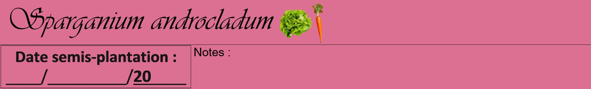 Étiquette de : Sparganium androcladum - format a - style noire44viv avec comestibilité simplifiée