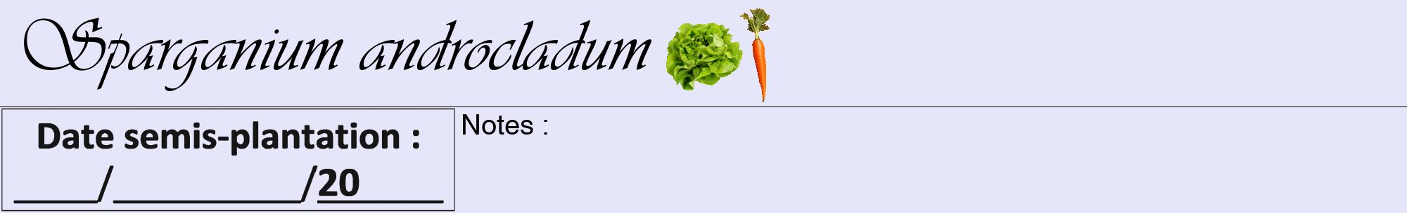 Étiquette de : Sparganium androcladum - format a - style noire55viv avec comestibilité simplifiée