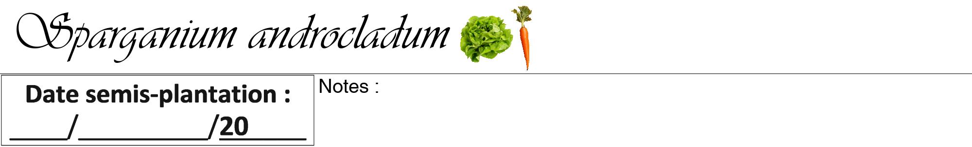 Étiquette de : Sparganium androcladum - format a - style noire60viv avec comestibilité simplifiée