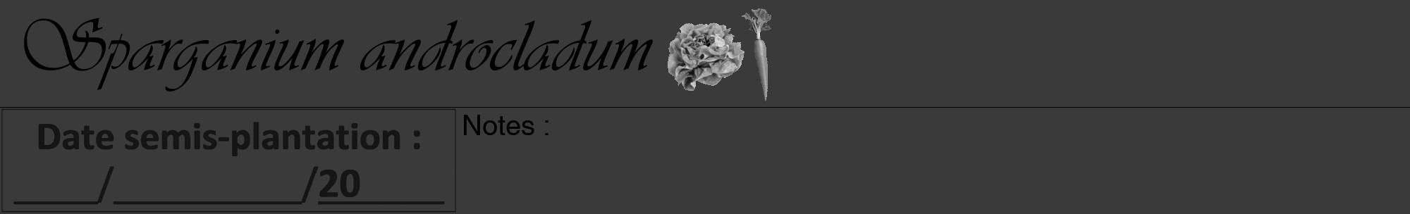 Étiquette de : Sparganium androcladum - format a - style noire8viv avec comestibilité simplifiée