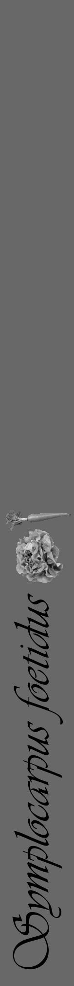 Étiquette de : Symplocarpus foetidus - format a - style noire6viv avec comestibilité simplifiée - position verticale