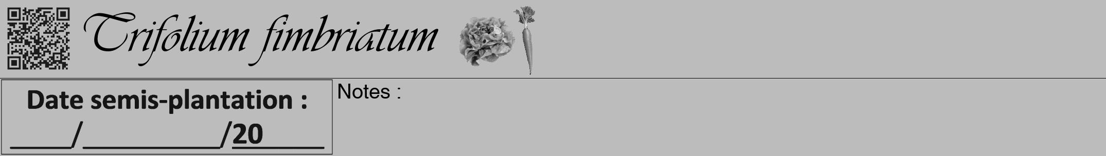 Étiquette de : Trifolium fimbriatum - format a - style noire1viv avec qrcode et comestibilité simplifiée