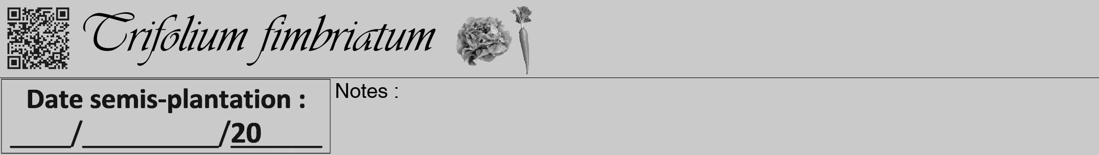 Étiquette de : Trifolium fimbriatum - format a - style noire21viv avec qrcode et comestibilité simplifiée