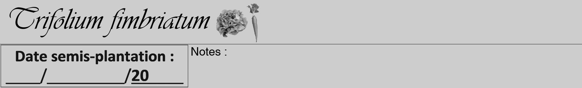 Étiquette de : Trifolium fimbriatum - format a - style noire41viv avec comestibilité simplifiée