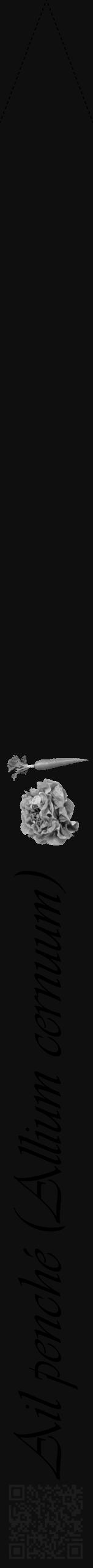 Étiquette de : Allium cernuum - format b - style noire7viv avec qrcode et comestibilité simplifiée - position verticale