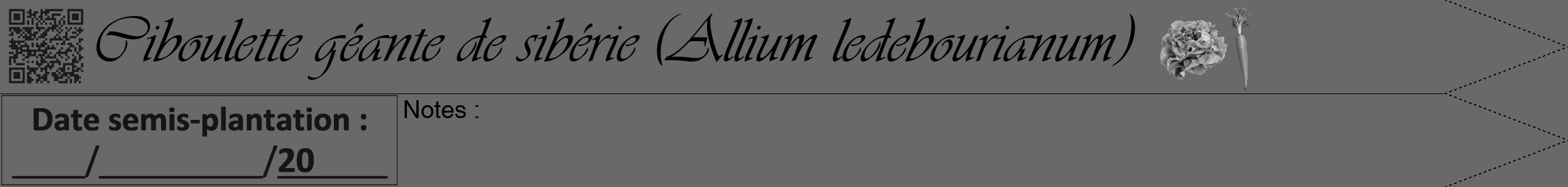 Étiquette de : Allium ledebourianum - format b - style noire51viv avec qrcode et comestibilité simplifiée