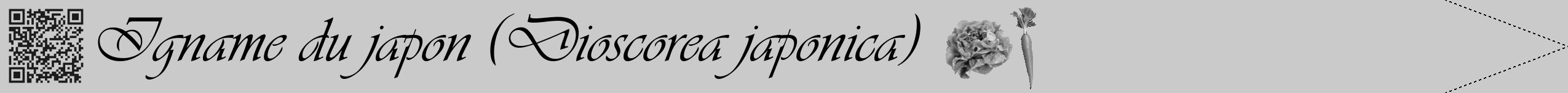 Étiquette de : Dioscorea japonica - format b - style noire21simpleviv avec qrcode et comestibilité simplifiée