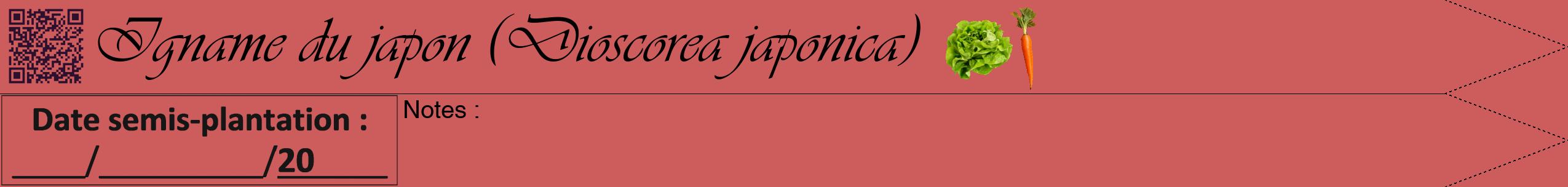 Étiquette de : Dioscorea japonica - format b - style noire35viv avec qrcode et comestibilité simplifiée