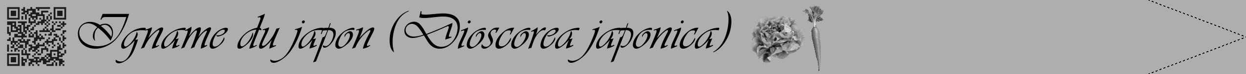 Étiquette de : Dioscorea japonica - format b - style noire53viv avec qrcode et comestibilité simplifiée