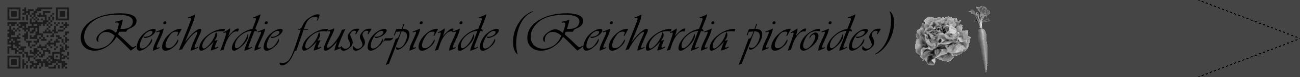 Étiquette de : Reichardia picroides - format b - style noire58viv avec qrcode et comestibilité simplifiée