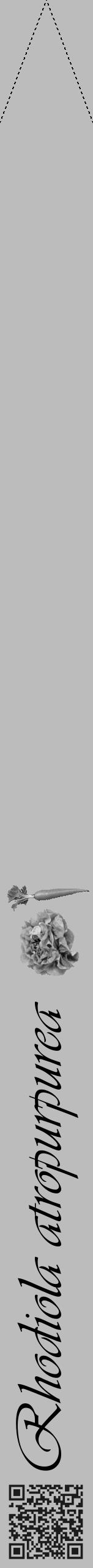 Étiquette de : Rhodiola atropurpurea - format b - style noire1viv avec qrcode et comestibilité simplifiée - position verticale
