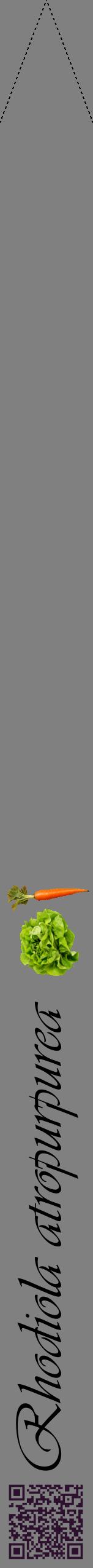 Étiquette de : Rhodiola atropurpurea - format b - style noire57viv avec qrcode et comestibilité simplifiée