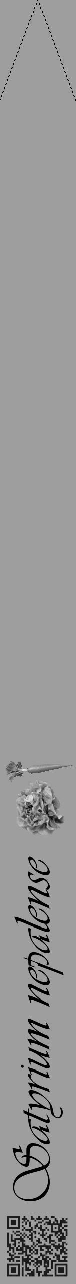 Étiquette de : Satyrium nepalense - format b - style noire23simpleviv avec qrcode et comestibilité simplifiée - position verticale