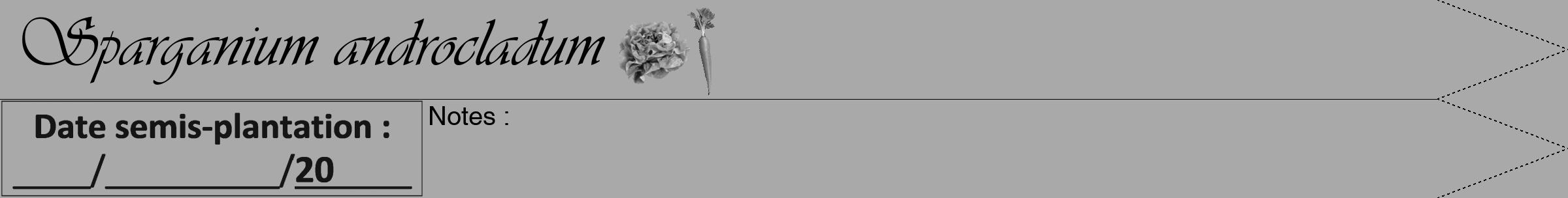 Étiquette de : Sparganium androcladum - format b - style noire13viv avec comestibilité simplifiée