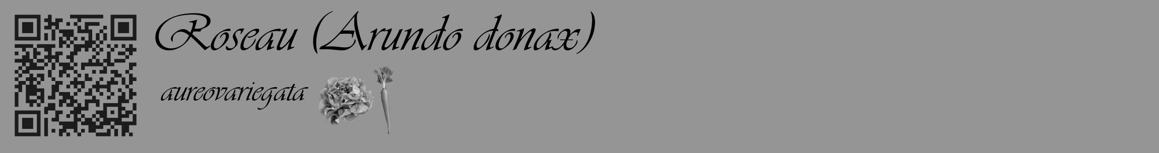 Étiquette de : Arundo donax aureovariegata - format c - style noire16_basique_basiqueviv avec qrcode et comestibilité simplifiée