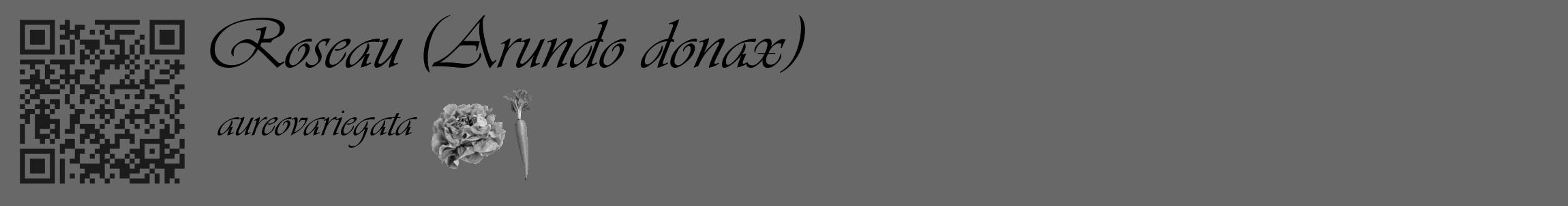 Étiquette de : Arundo donax aureovariegata - format c - style noire6_basique_basiqueviv avec qrcode et comestibilité simplifiée