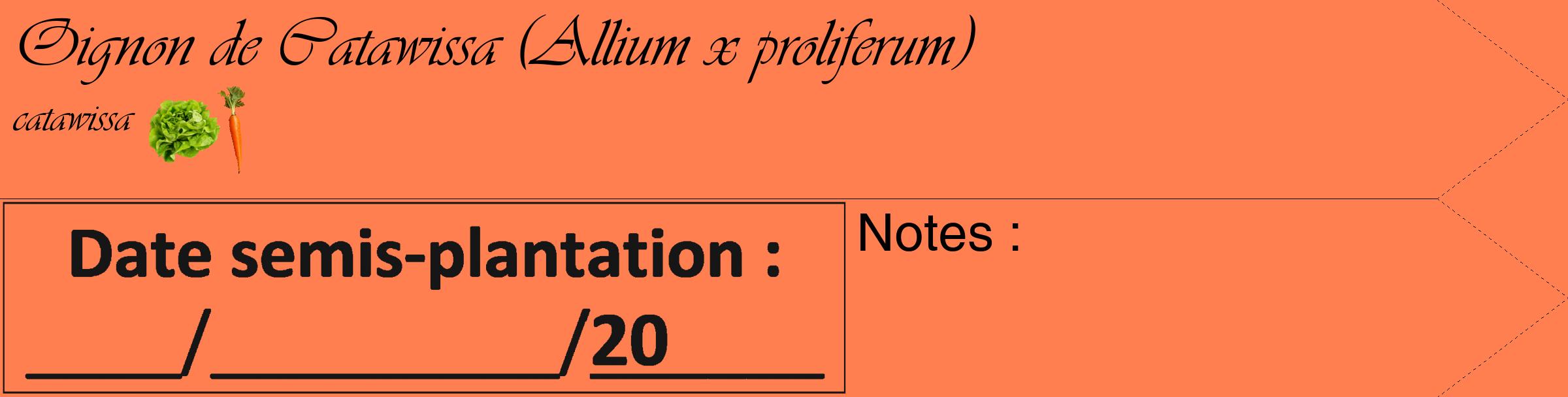 Étiquette de : Allium x proliferum catawissa - format c - style noire24_simple_simpleviv avec comestibilité simplifiée