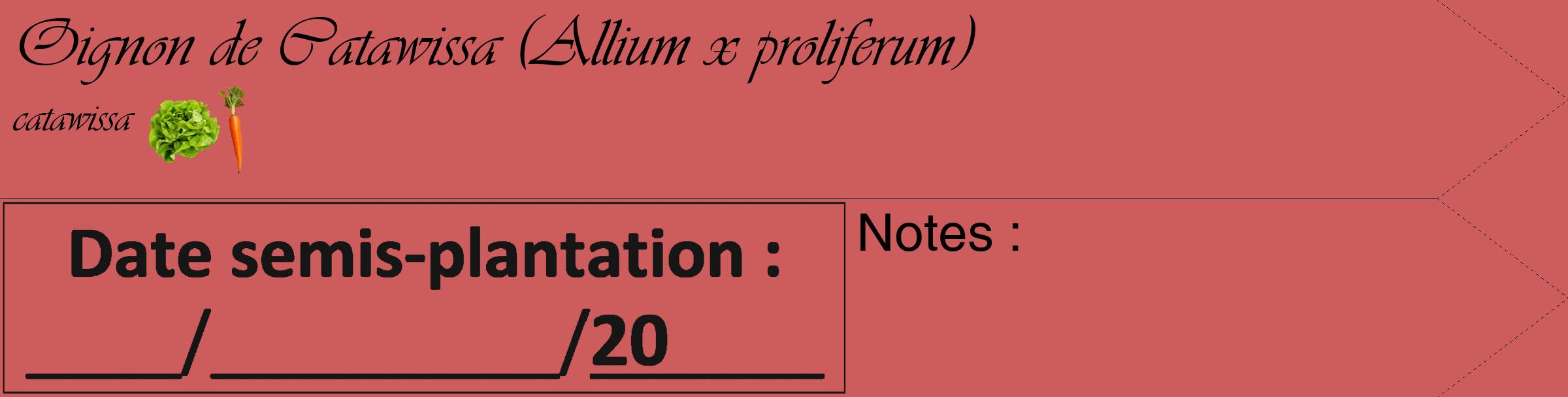 Étiquette de : Allium x proliferum catawissa - format c - style noire35_simple_simpleviv avec comestibilité simplifiée