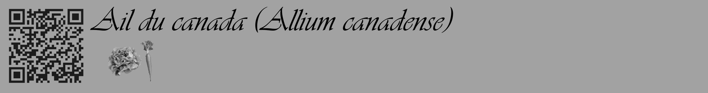 Étiquette de : Allium canadense - format c - style noire38basique_basique_basiqueviv avec qrcode et comestibilité simplifiée