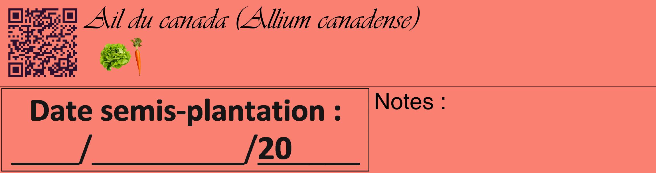 Étiquette de : Allium canadense - format c - style noire38basique_basique_basiqueviv avec qrcode et comestibilité simplifiée