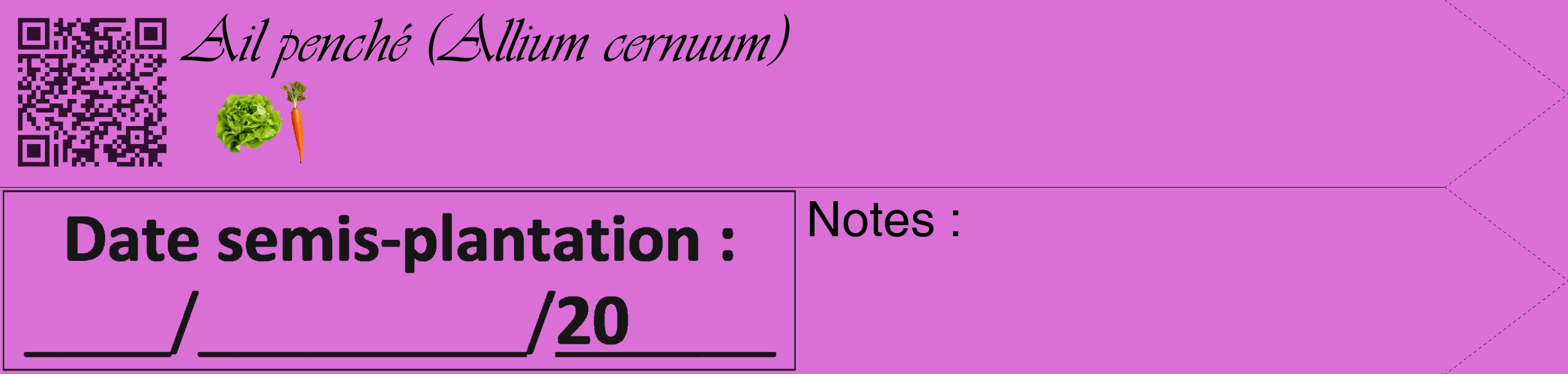 Étiquette de : Allium cernuum - format c - style noire52_simple_simpleviv avec qrcode et comestibilité simplifiée