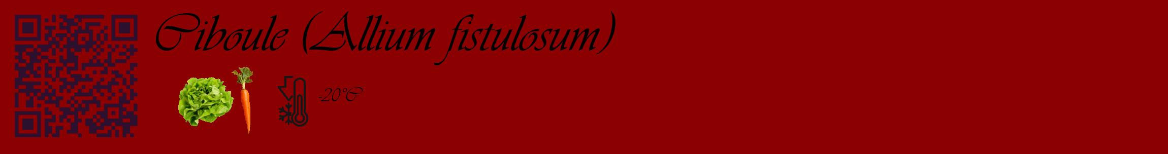 Étiquette de : Allium fistulosum - format c - style noire34_basique_basiqueviv avec qrcode et comestibilité simplifiée