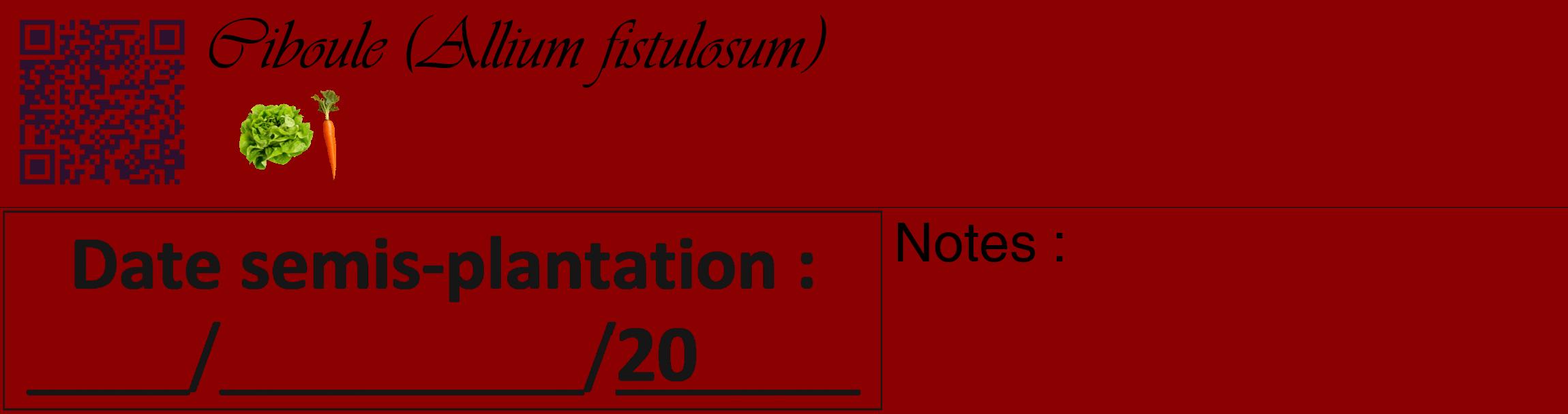 Étiquette de : Allium fistulosum - format c - style noire34_basique_basiqueviv avec qrcode et comestibilité simplifiée