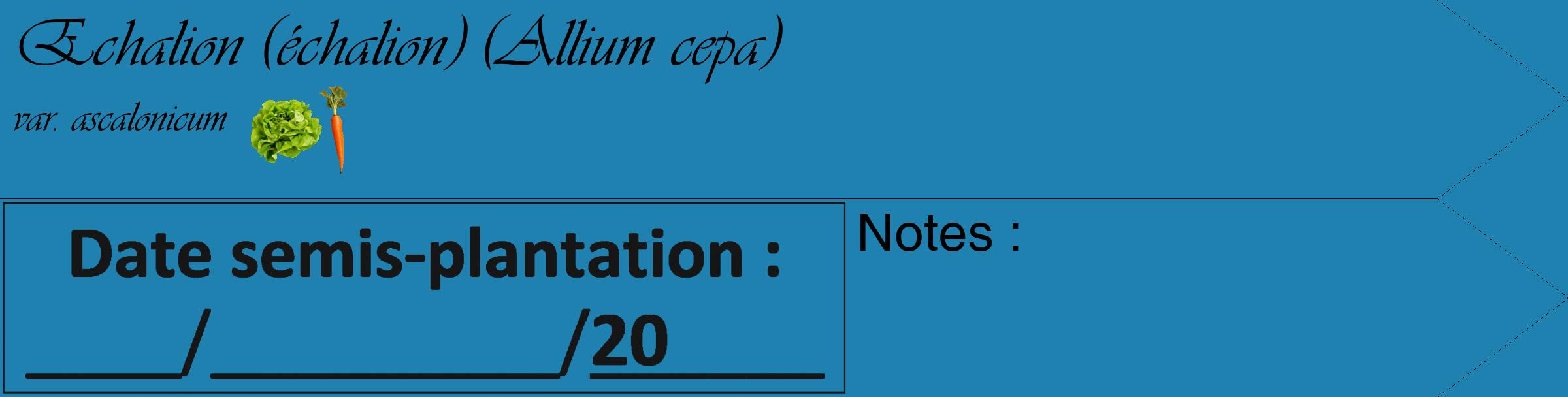 Étiquette de : Allium cepa var. ascalonicum - format c - style noire6_simple_simpleviv avec comestibilité simplifiée