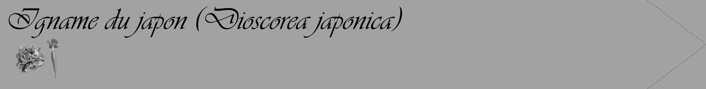 Étiquette de : Dioscorea japonica - format c - style noire38_simple_simpleviv avec comestibilité simplifiée