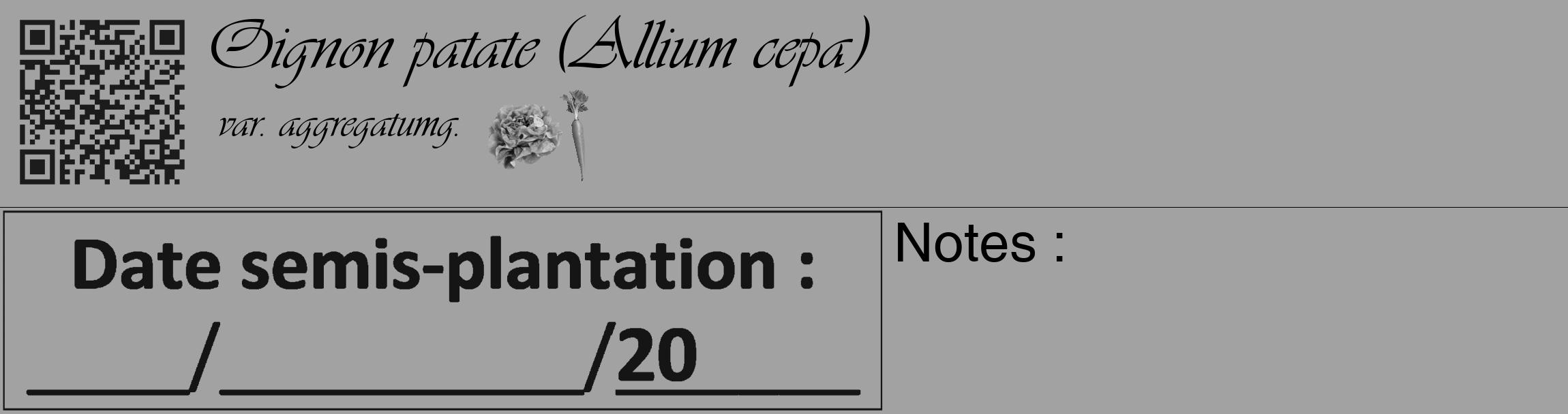 Étiquette de : Allium cepa var. aggregatumg. - format c - style noire38_basique_basiqueviv avec qrcode et comestibilité simplifiée
